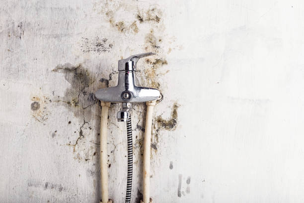 Home Mold Removal in Fairbury, IL