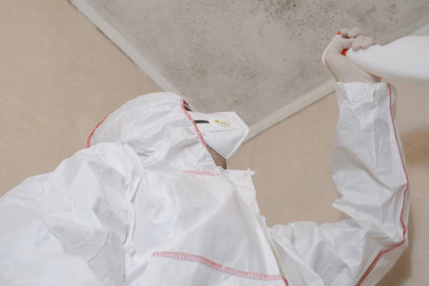 Best Mold Testing  in Fairbury, IL
